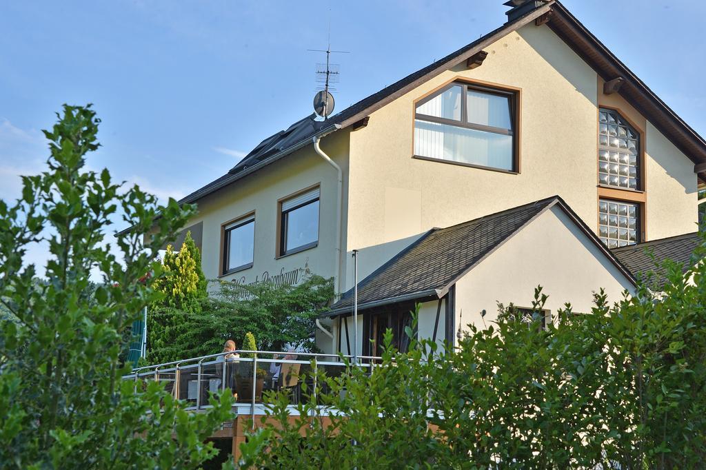 Weingut Rosenbaum Apartment Briedel Cameră foto