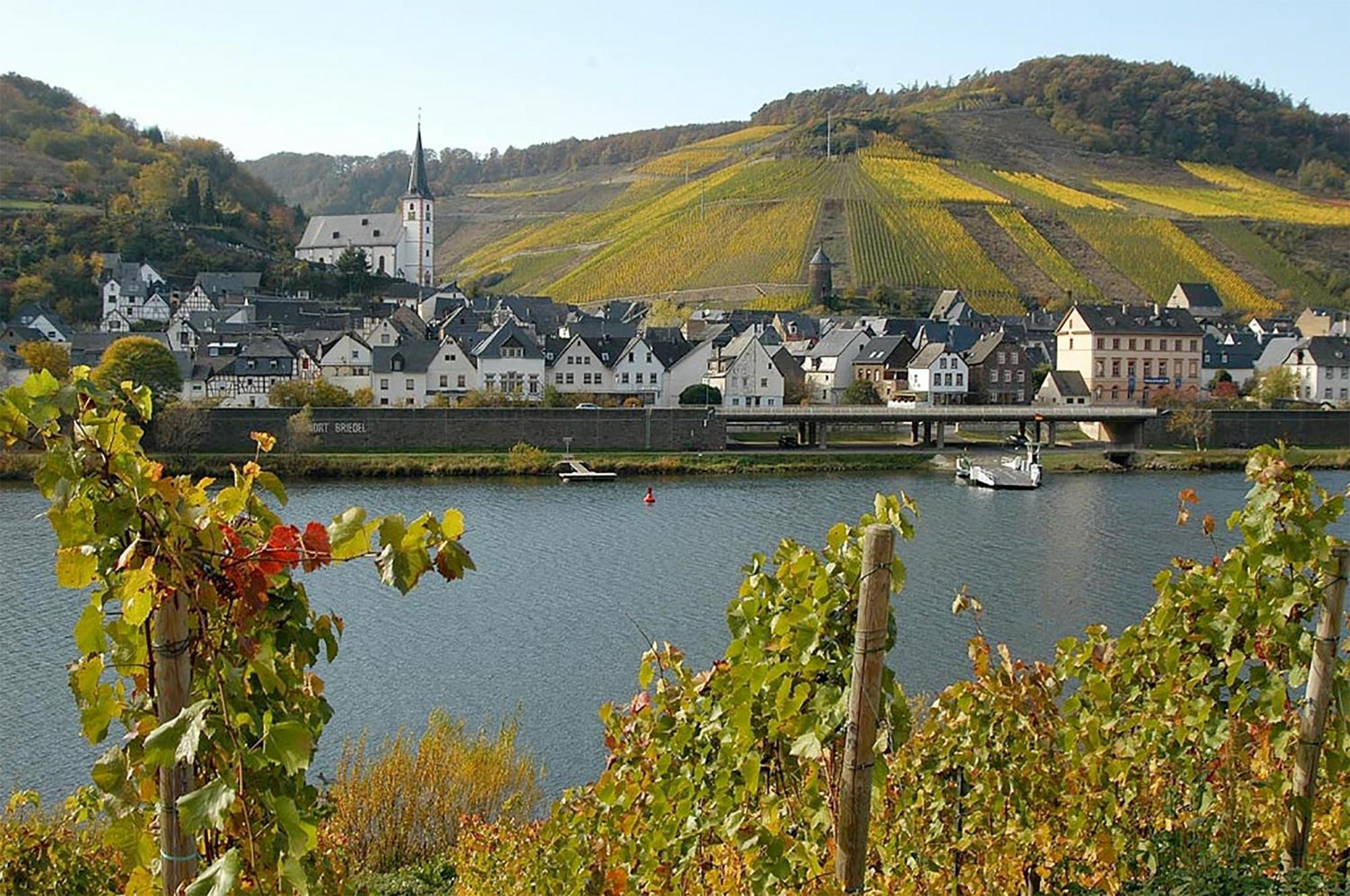 Weingut Rosenbaum Apartment Briedel Exterior foto