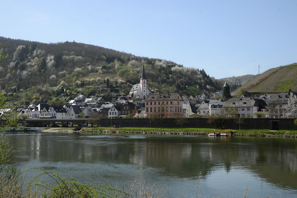 Weingut Rosenbaum Apartment Briedel Exterior foto