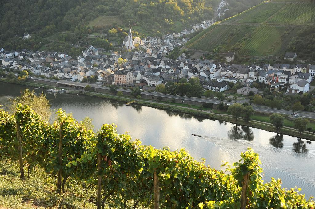 Weingut Rosenbaum Apartment Briedel Exterior foto