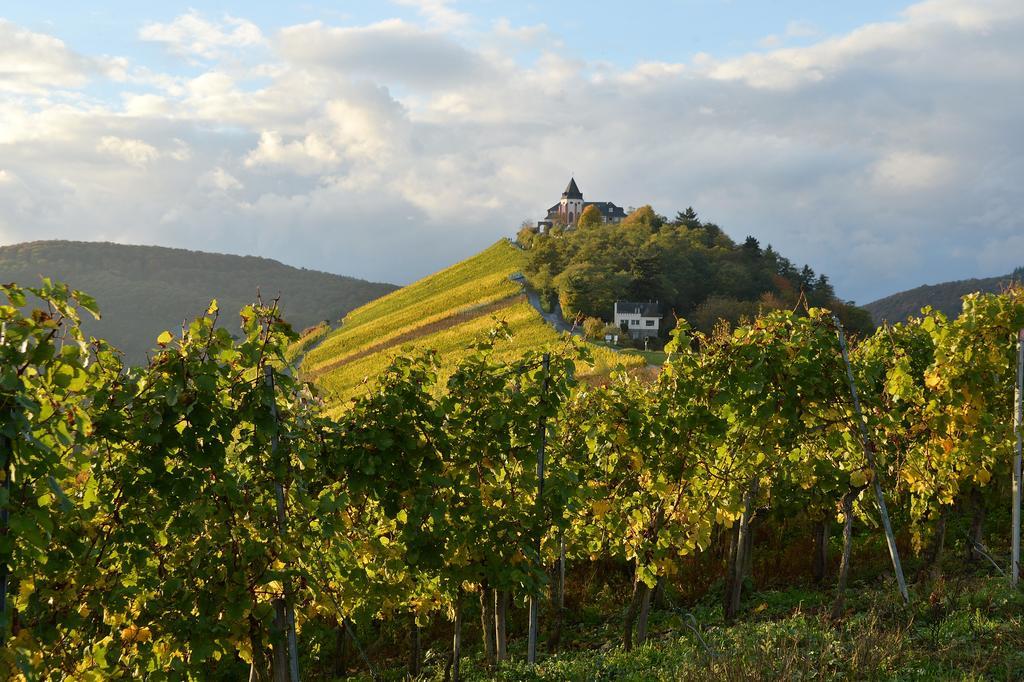 Weingut Rosenbaum Apartment Briedel Exterior foto